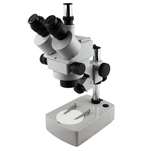 三眼實體顯微鏡
